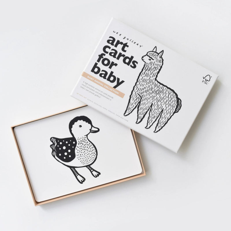 Art Cards for Baby