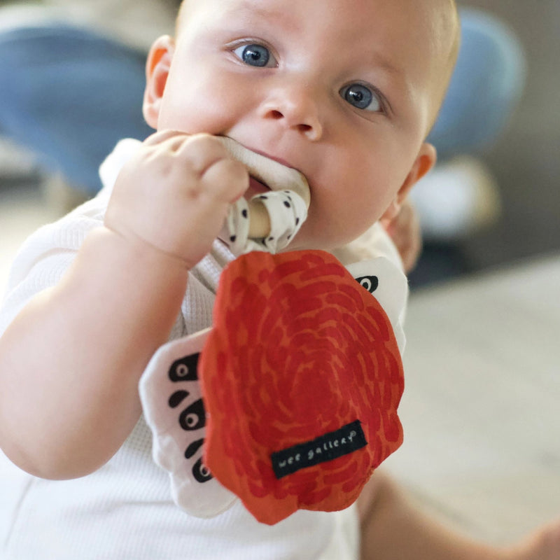 Crinkle Ring Teether