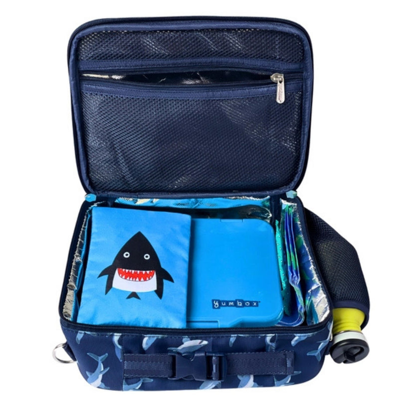 3-Way Insulated Carry Bag