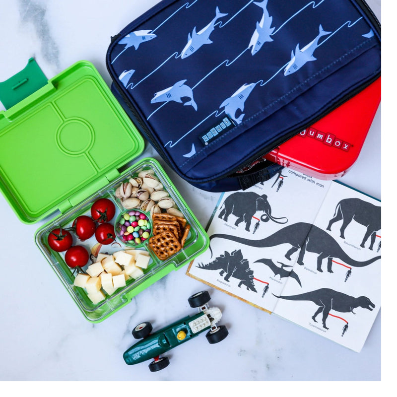 Snack Size Bento Lunch Box