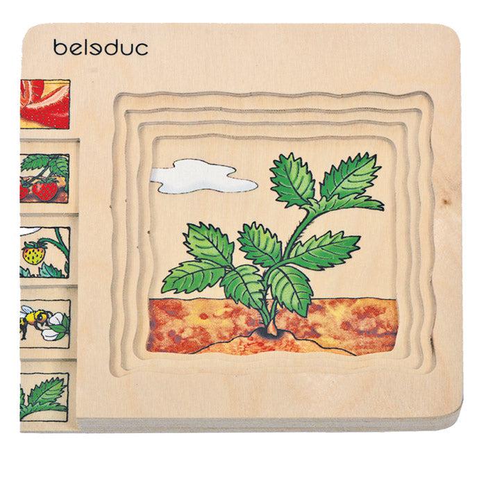 Beleduc Layer Wooden Puzzle - Strawberry-Simply Green Baby