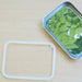 ECOlunchbox Leak Proof Bento Wet Box Large Rectangle-Simply Green Baby
