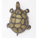 Green Rubber Toys - Tortoise-Simply Green Baby