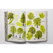 Hello Nature Draw Colour, Make and Grow-Simply Green Baby