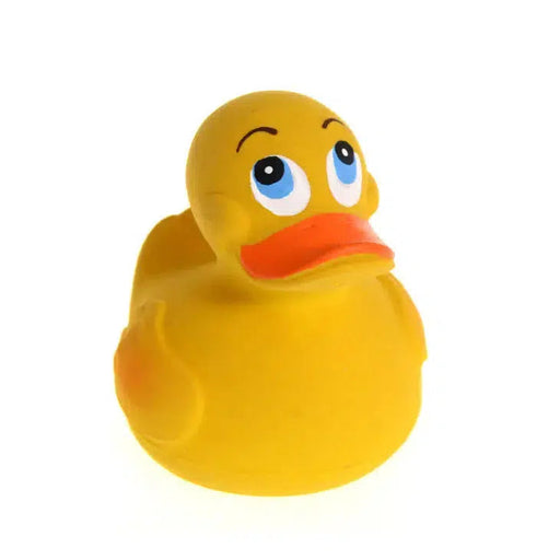 Djeco Fishing Game - Small Rubber Bath Ducks » Cheap Delivery