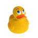 Lanco Natural Rubber Toy - Alba Duck Large (Fully Sealed)-Simply Green Baby