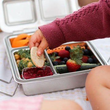 https://simplygreenbaby.com/cdn/shop/products/little-lunch-box-co_-bento-stainless-maxi-4.jpg?v=1673737278&width=360