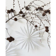 Paper Snowflakes Ornament 22CM-Simply Green Baby