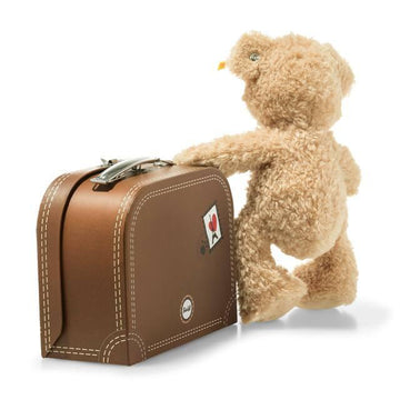 teddy in a suitcase