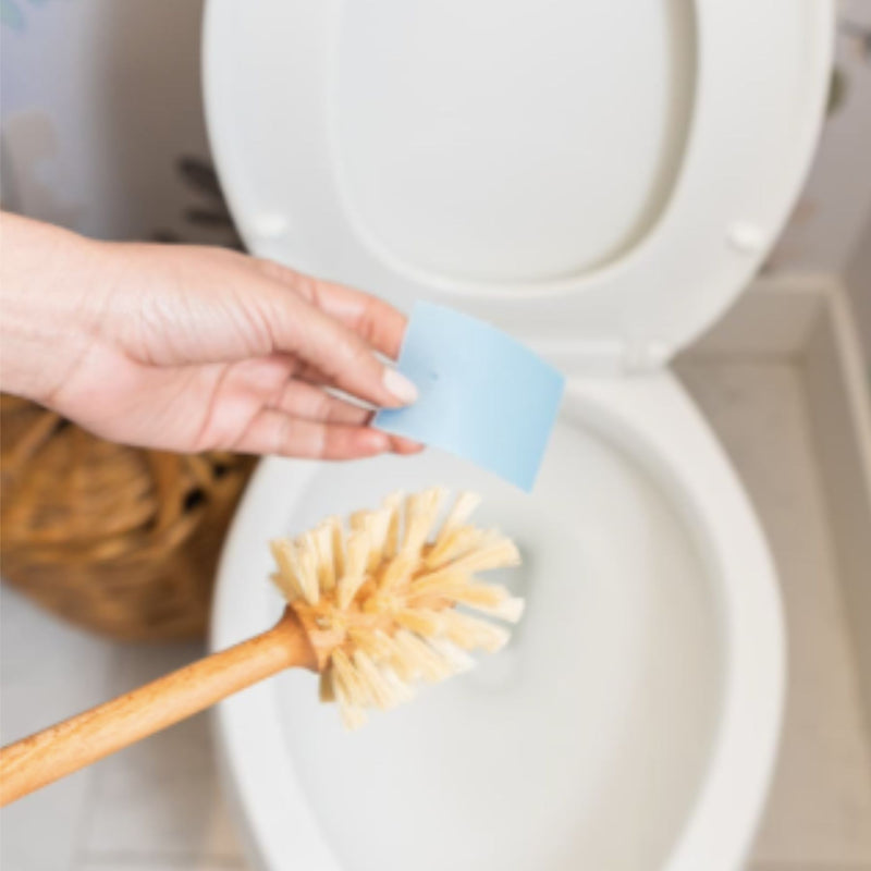 Toilet Bowl Cleaner Eco Strips