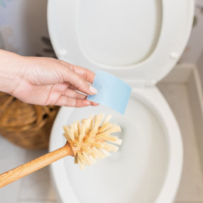 Toilet Bowl Cleaner Eco Strips