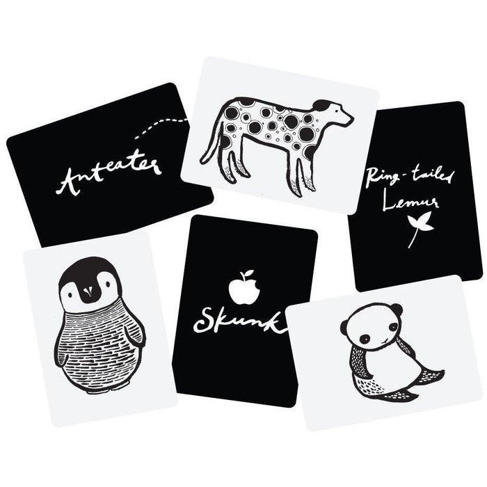 Wee Gallery Art Cards - Black + White Collection-Simply Green Baby